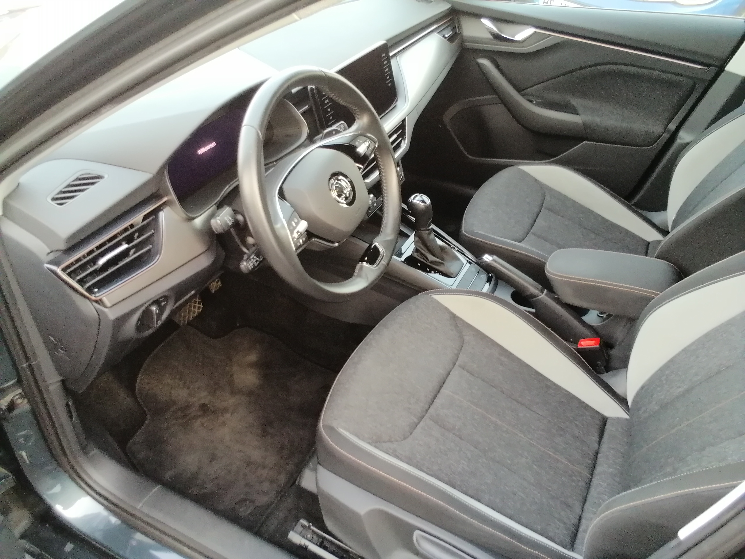 Skoda KAMIQ 1.5 TSI DSG Style LED AHK NAVI ACC KAM LMF